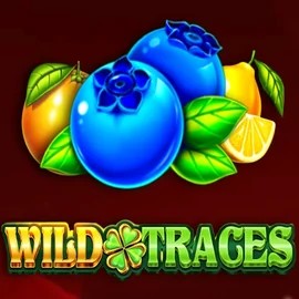 Wild Traces – slot by Amusnet Interactive, featured at golden-bet-casino.com